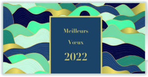 Toute l'équipe d'OTEA CAPITAL vous souhaite de très belles fêtes de fin d'année et vous présente ses meilleurs vœux